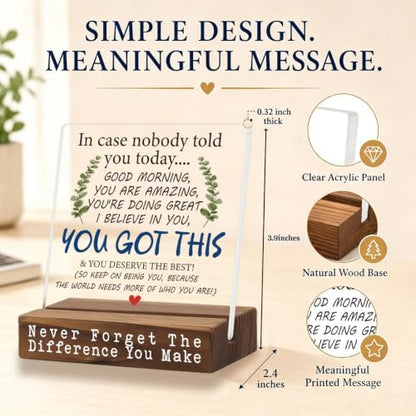 You Got This Desk Sign, Encouragement Gift for Women, Inspirational