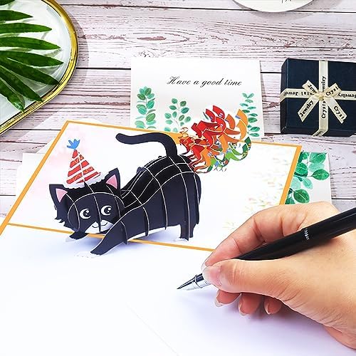 ROBBEAR Funny Cat Pop Up Birthday Card, Funny 3D Birthday Cards for