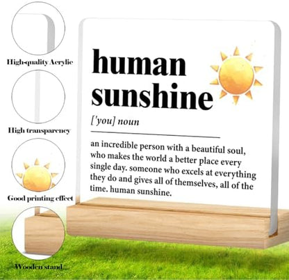 Human Sunshine Motivational Gift for Women Men, Employee Appreciation