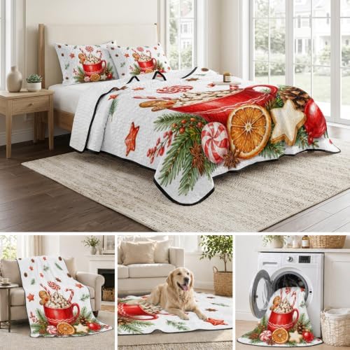 Christmas Quilt Set Twin Size 3 Pieces Quilted Bedspread Soft