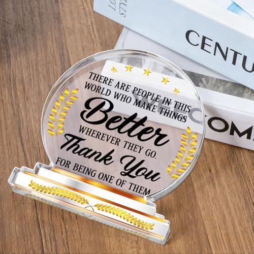 Thank You Appreciation Gifts for Coworkers Employees Desk Decor