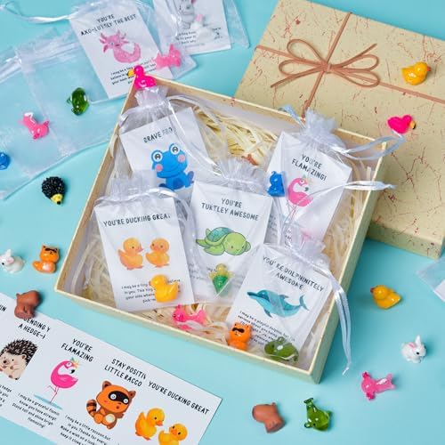 60 Set Employee Appreciation Gifts Bulk for Coworkers Team Staff Thank