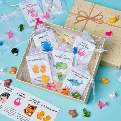 60 Set Employee Appreciation Gifts Bulk for Coworkers Team Staff Thank