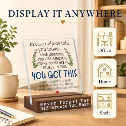 You Got This Desk Sign, Encouragement Gift for Women, Inspirational