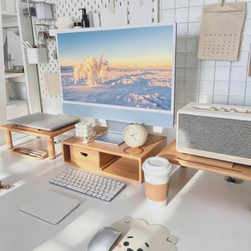 Dual Monitor Stand Riser with Drawer for Desk Laptop