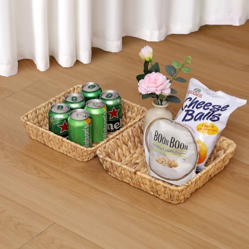 Small Wicker Basket Tray 2 Pack, Small Rattan Basket Set for