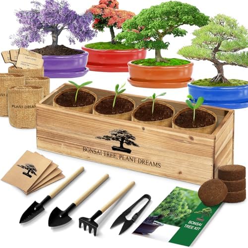 Bonsai Tree Kit, Bonsai Starter Kit with Seeds & Tools, Tree Live