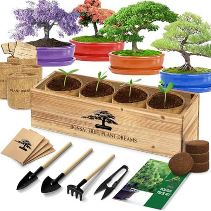 Bonsai Tree Kit, Bonsai Starter Kit with Seeds & Tools, Tree Live