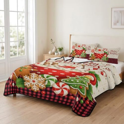 Merry Christmas Quilt Set Twin Size 3 Pieces Quilted Bedspread Soft