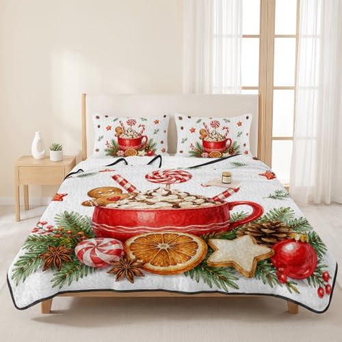 Christmas Quilt Set Twin Size 3 Pieces Quilted Bedspread Soft