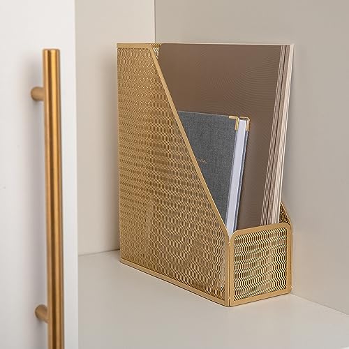 Martha Stewart Ryder Mesh Metal Magazine File Holder, Gold
