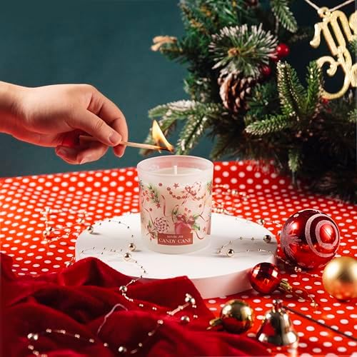 ROMIIE ZOI Christmas Scented Jar Candle - 6oz Soy Wax Candle - Candy