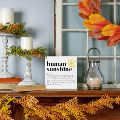 Sunshine Gifts for Women, Inspirational Gifts Human Sunshine Wood Box
