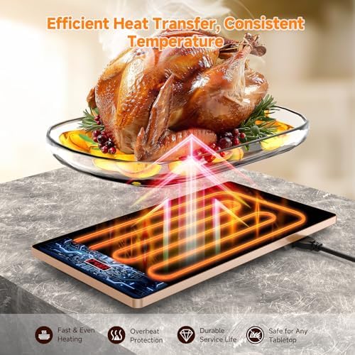 FEPPO Electric Warming Tray, 4-in-1 Food Warmers for Parties Buffet