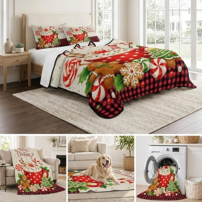 Merry Christmas Quilt Set Twin Size 3 Pieces Quilted Bedspread Soft