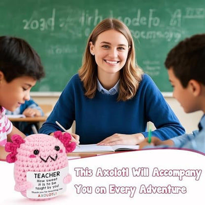 Teacher Appreciation Gifts for Women Teachers, Handmade Crochet