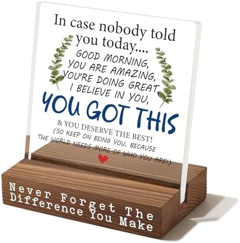 You Got This Desk Sign, Encouragement Gift for Women, Inspirational