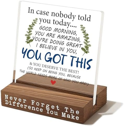 You Got This Desk Sign, Encouragement Gift for Women, Inspirational