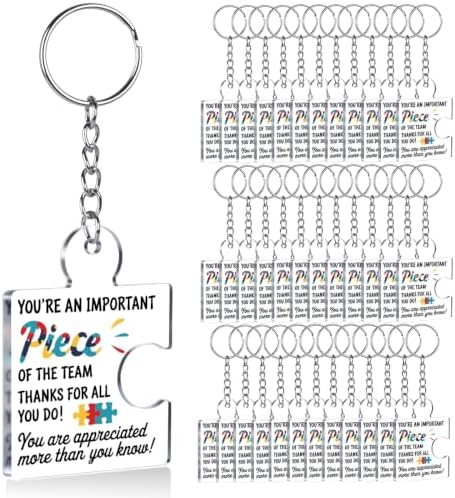 Team Appreciation Gifts Bulk for Coworkers Employee Staff Keychains