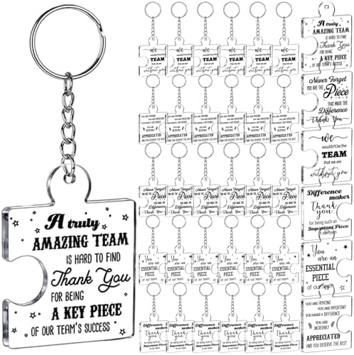 BreezeHug 48 Pcs Employee Appreciation Gifts Bulk for Team Group