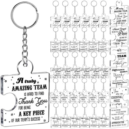 BreezeHug 48 Pcs Employee Appreciation Gifts Bulk for Team Group