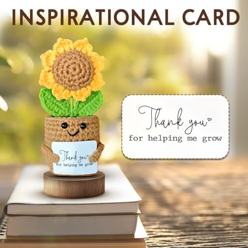 Mini Sunflower Teacher Appreciation Gifts, Thank You Gift for Teacher