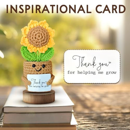 Mini Sunflower Teacher Appreciation Gifts, Thank You Gift for Teacher