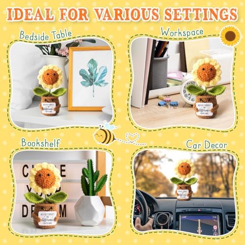 Thank You Gifts for Women Coworkers - Mini Sunflower Appreciation
