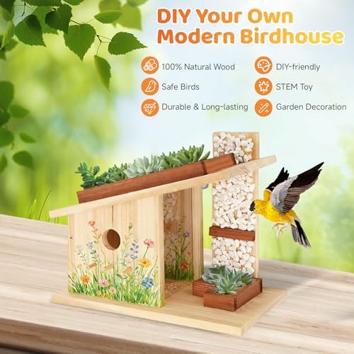 Modern Birdhouse Woodworking Kit, Natural Cedar Wooden birdhouses for