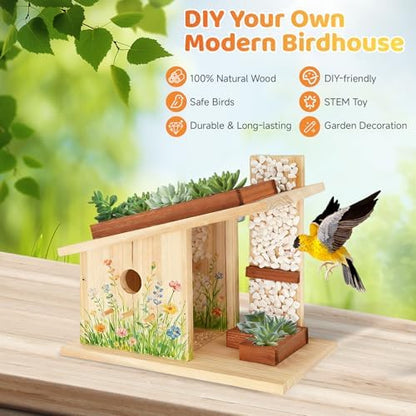 Modern Birdhouse Woodworking Kit, Natural Cedar Wooden birdhouses for
