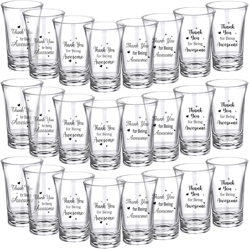 Karenhi 24 Pcs Shot Glasses Bulk, Adult Party Favors, Appreciation