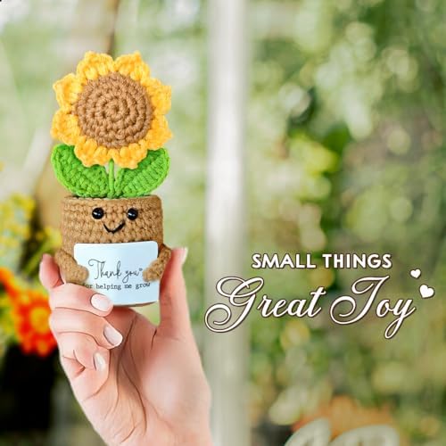 Mini Sunflower Teacher Appreciation Gifts, Thank You Gift for Teacher