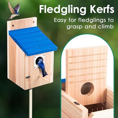 Dreyoo 2 Pack Bluebird House for Outside, Blue Roof, Wood
