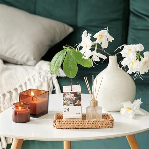 Hipiwe Wicker Rattan Basket Tray Handwoven Decorative Coffee Table