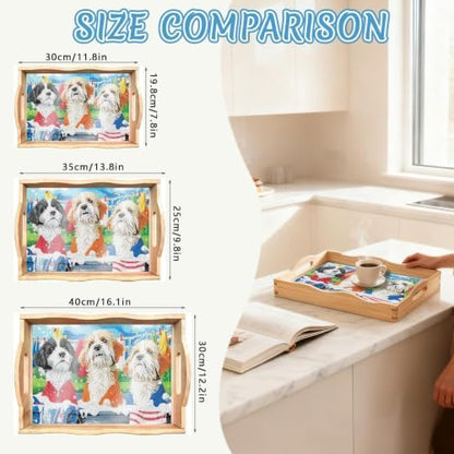 DOTSOPS DIY Diamond Painting Serving Tray with Handle for Adults 5D