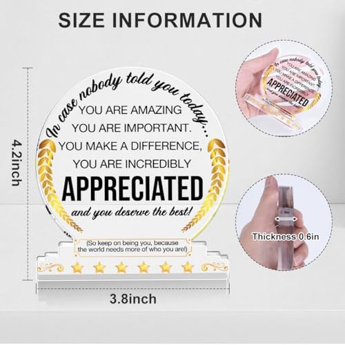 Appreciation Gifts Thank You Award Desk Decor for Coworkers Boss