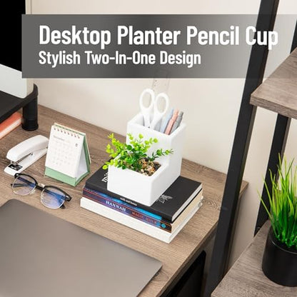 Mind Reader Ceramic Desktop Planter Pencil Cup, Desk Organizer with