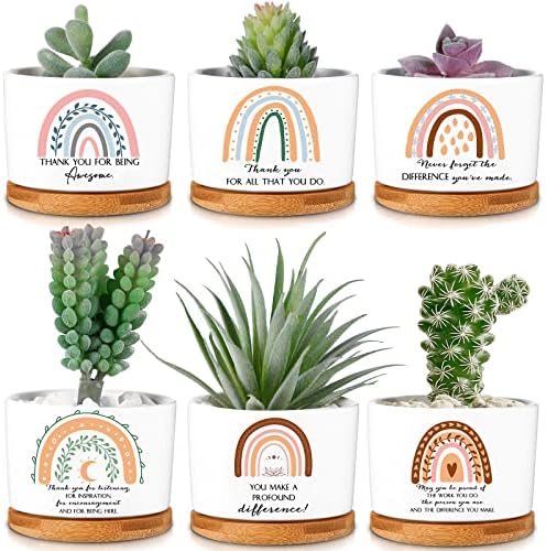 Sieral 6 Pcs Staff Appreciation Gifts Bulk Ceramic Pot for Coworkers