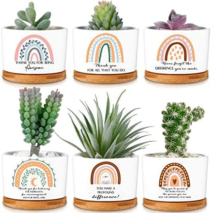 Sieral 6 Pcs Staff Appreciation Gifts Bulk Ceramic Pot for Coworkers