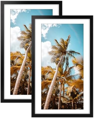 Frametory 2 Pack 14x24 Black Picture Frame with Real Glass Mat for