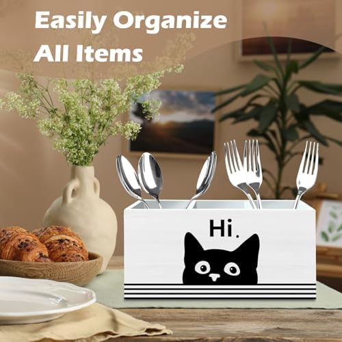 DILSJ Funny Black Cat Pen Pencil Holder Organizer for Desk, Black Cat