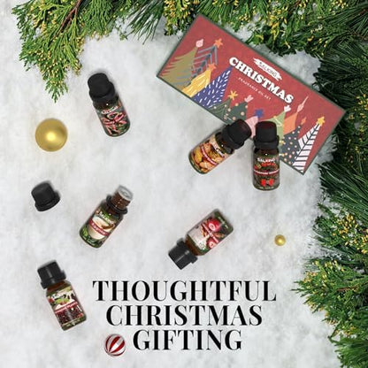 SALKING Christmas Fragrance Oils, Essential Oils Set for Diffuser for
