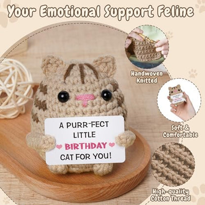 Birthday Gifts for Women Men, Crochet Cat Plush Decor, Handmade