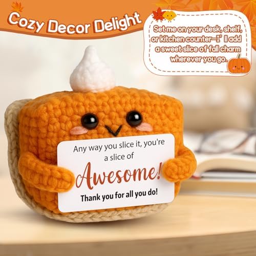 Crochet Pumpkin Pie – Fall Decor Handmade Knitted Mini Thank You Gift