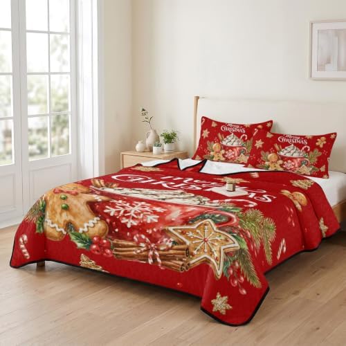 Christmas Quilt Set Twin XL Size 3 Pieces Quilted Bedspread Soft, Hot