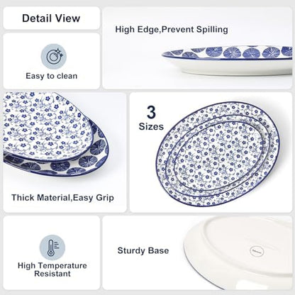 Selamica Ceramic Serving Plates, 10 Inch Oval Dinner Plates Set of 4