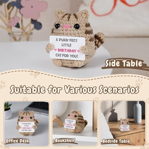 Birthday Gifts for Women Men, Crochet Cat Plush Decor, Handmade