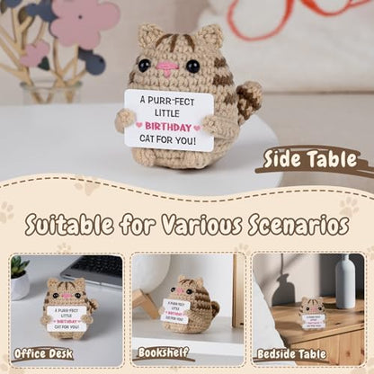 Birthday Gifts for Women Men, Crochet Cat Plush Decor, Handmade