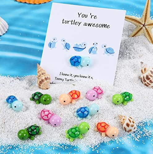 TaoBary 100 Sets Employee Appreciation Gifts, You're Turtley Awesome