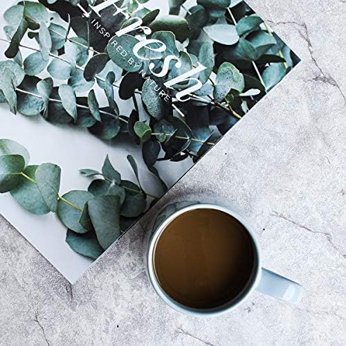 Bosmarlin Large Glossy Ceramic Coffee Mug, Tea Cup for Office and